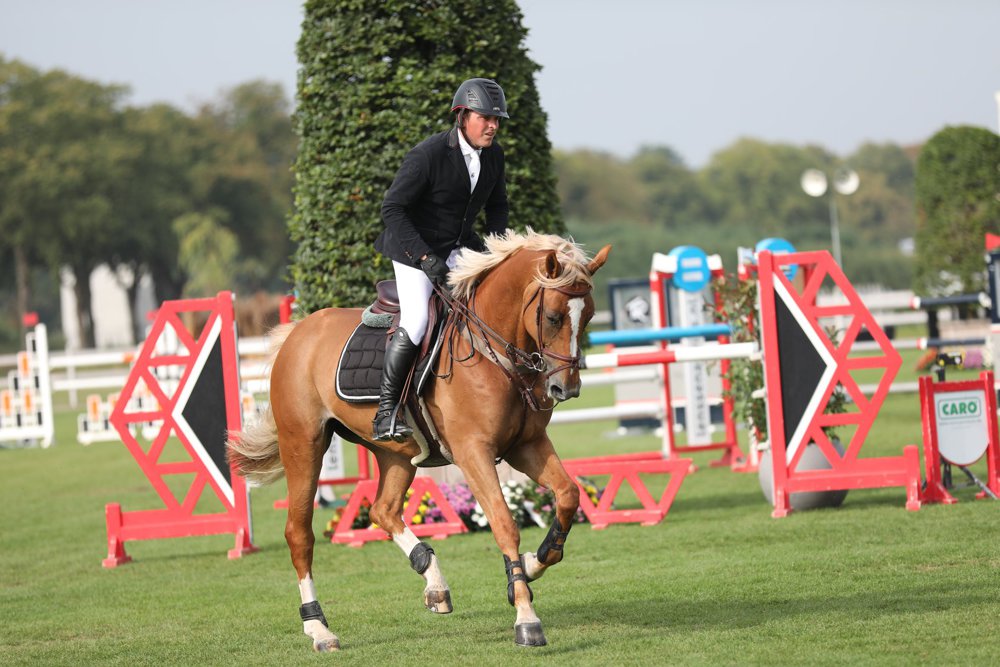 Ambrosia Kdw Z  *2011
